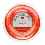 Poly Plasma Signum Pro Reel 200 mts