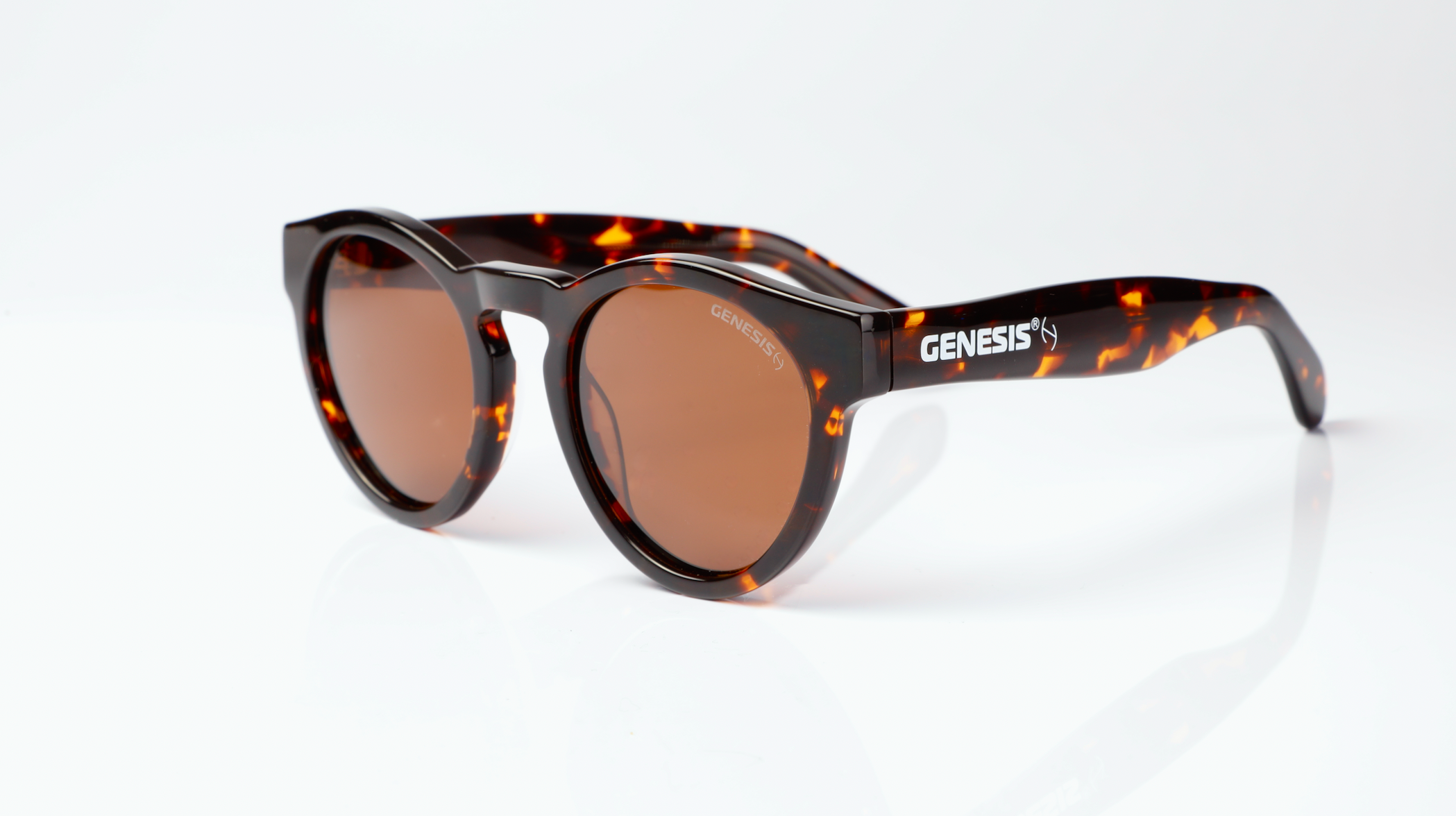 Lentes de Sol GENESIS Auckland Cafe Linea 2024