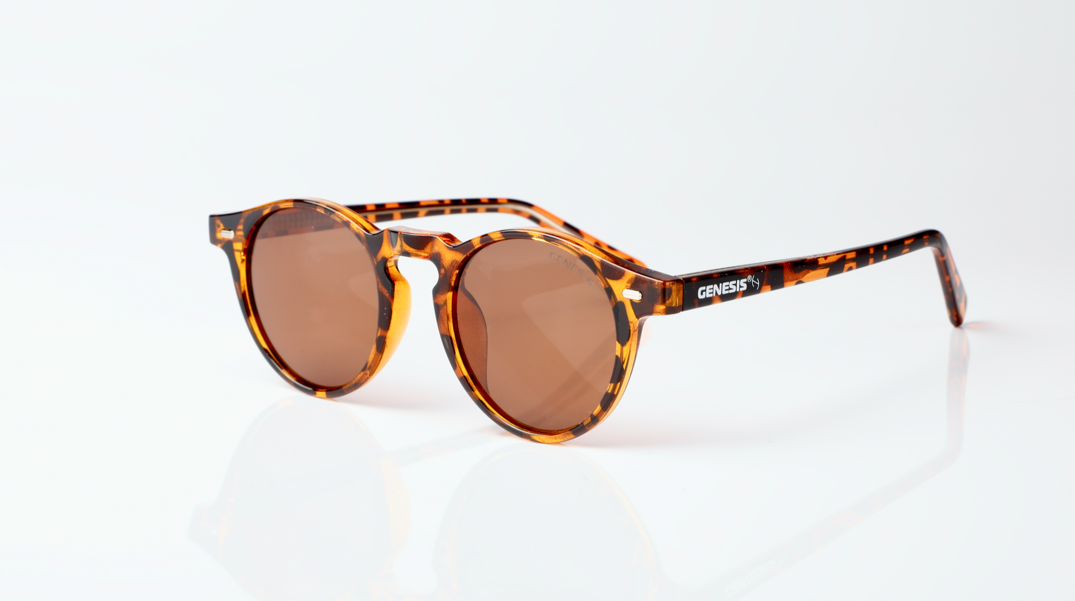 Lentes de Sol Roma Cafe  Linea 2024